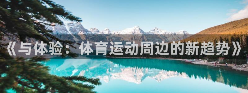 皇冠277体育：《与体验：体育运动周边的新趋势》