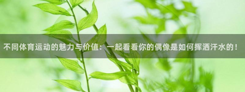 77体育app下载官网