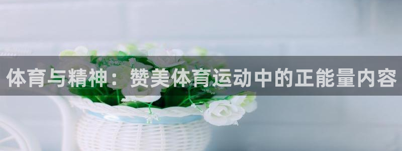 77体育官网