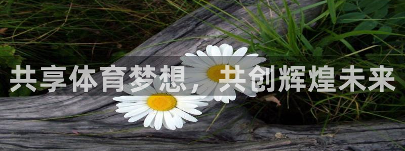 77体育官网：共享体育梦想，共创辉煌未来