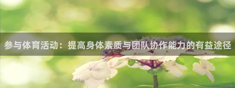 77体育：参与体育活动：提高身体素质与团队协作能力的有益途径