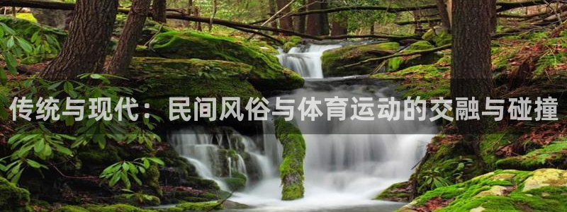 77体育官网